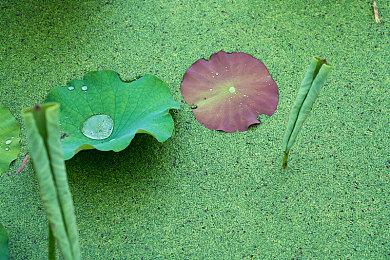 《羊蹄山之魂》演员：时间线的跳跃避免了境井仁形象受损！